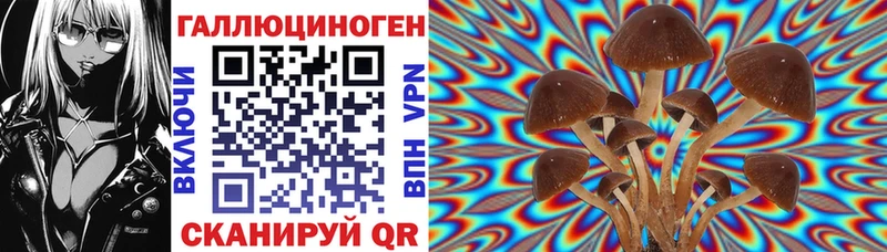 Псилоцибиновые грибы GOLDEN TEACHER  где купить наркоту  Обь 